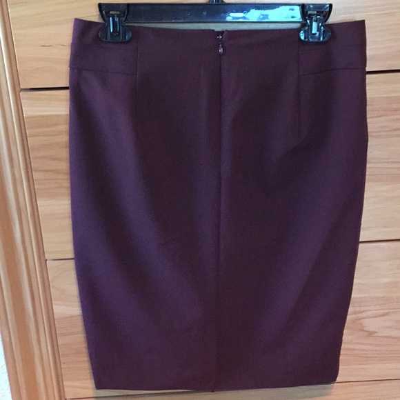 The Limited Skirt - Picture 2 of 3